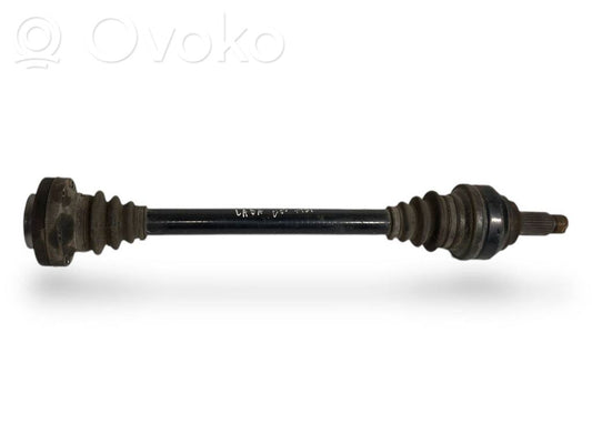 Aizmugurējā pusass