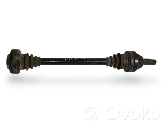 Aizmugurējā pusass