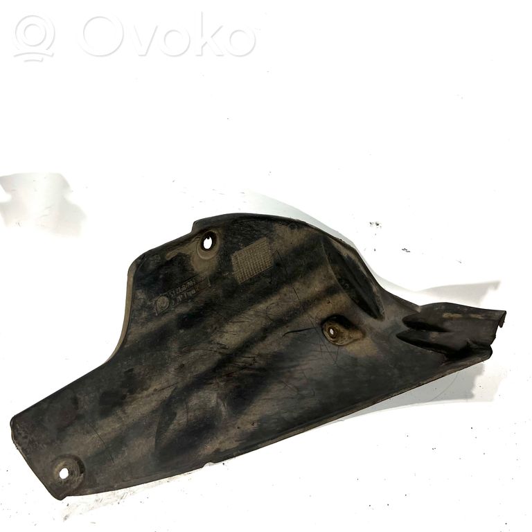 Aizmugurējais apakšspārns