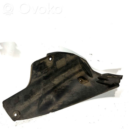 Aizmugurējais apakšspārns