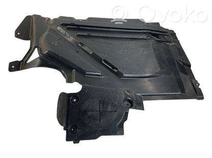 Underbody protection at the rear of the chassis