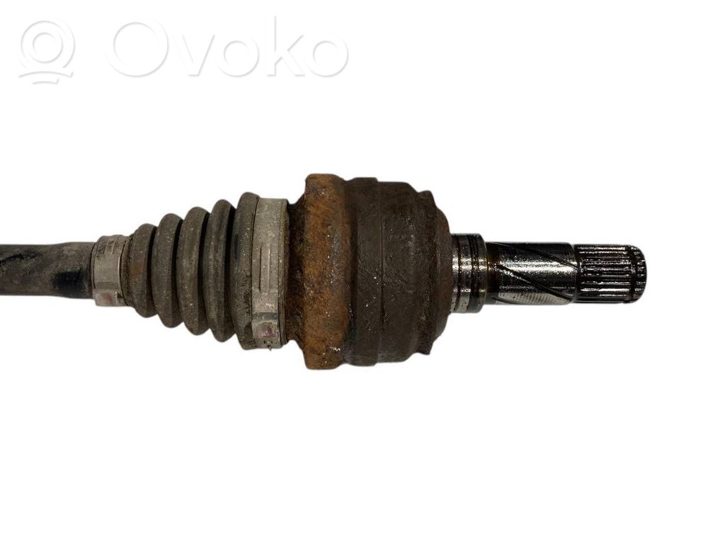 Aizmugurējā pusass