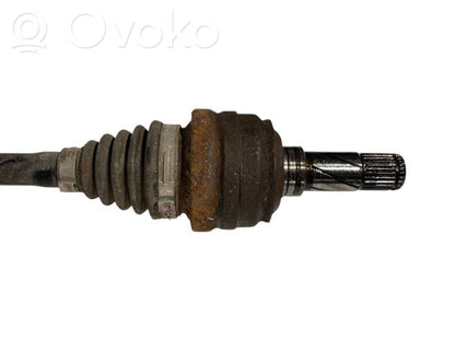 Aizmugurējā pusass