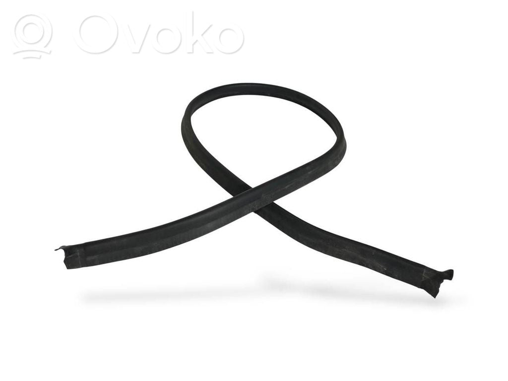 Dzinēja nodalījuma gumija