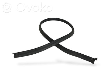 Dzinēja nodalījuma gumija