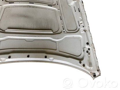 Dzinēja pārsegs (vāks)