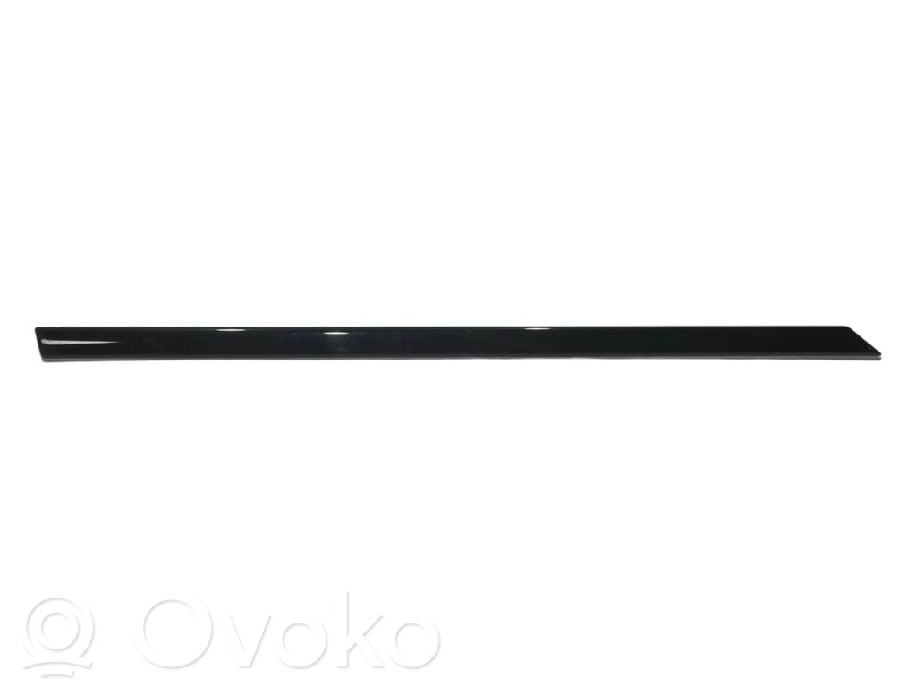 Aizmugurē durvju dekoratīvā apdare (moldings)