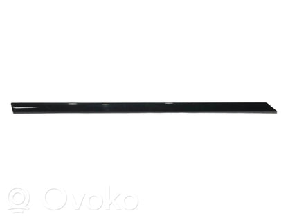 Aizmugurē durvju dekoratīvā apdare (moldings)