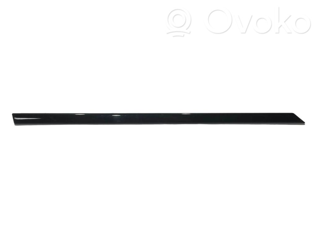 Rear door decorative trim (moulding)