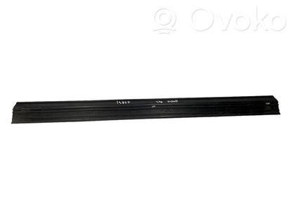 Front sill trim (inner)