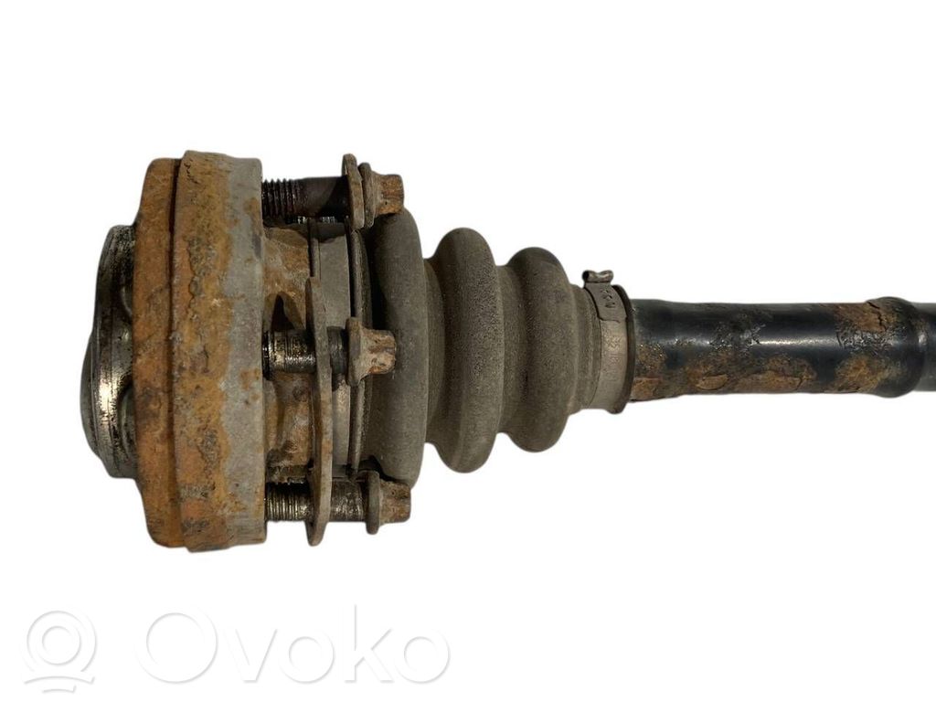 Aizmugurējā pusass