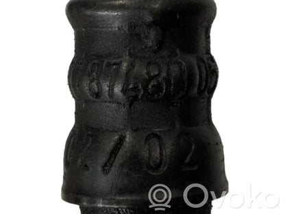 Degvielas caurulīte (-es)