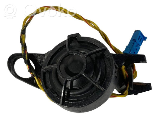 Твитер(ы) в передней двери