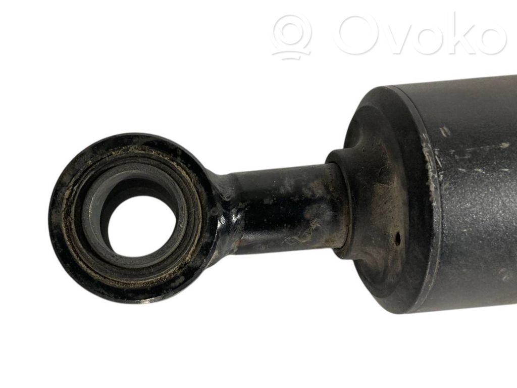 Rear shock absorber with spring