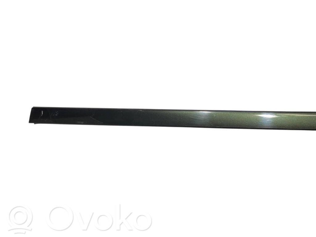 Aizmugurē durvju dekoratīvā apdare (moldings)