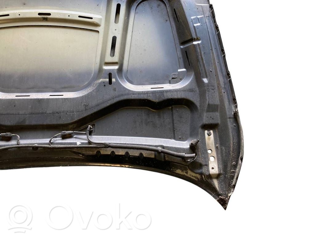 Dzinēja pārsegs (vāks)