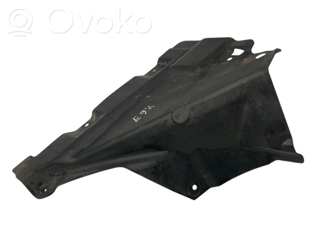 Under engine guard (front)