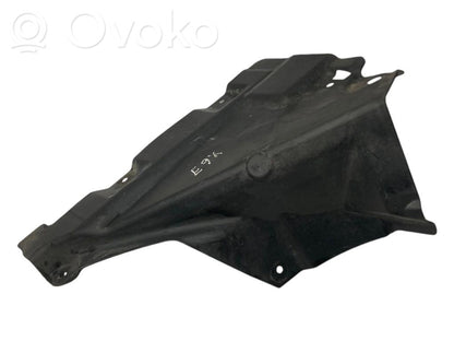 Under engine guard (front)