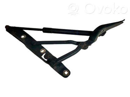 Aizmugurējā pārsega eņģe (-ess)