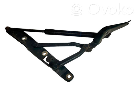 Aizmugurējā pārsega eņģe (-ess)