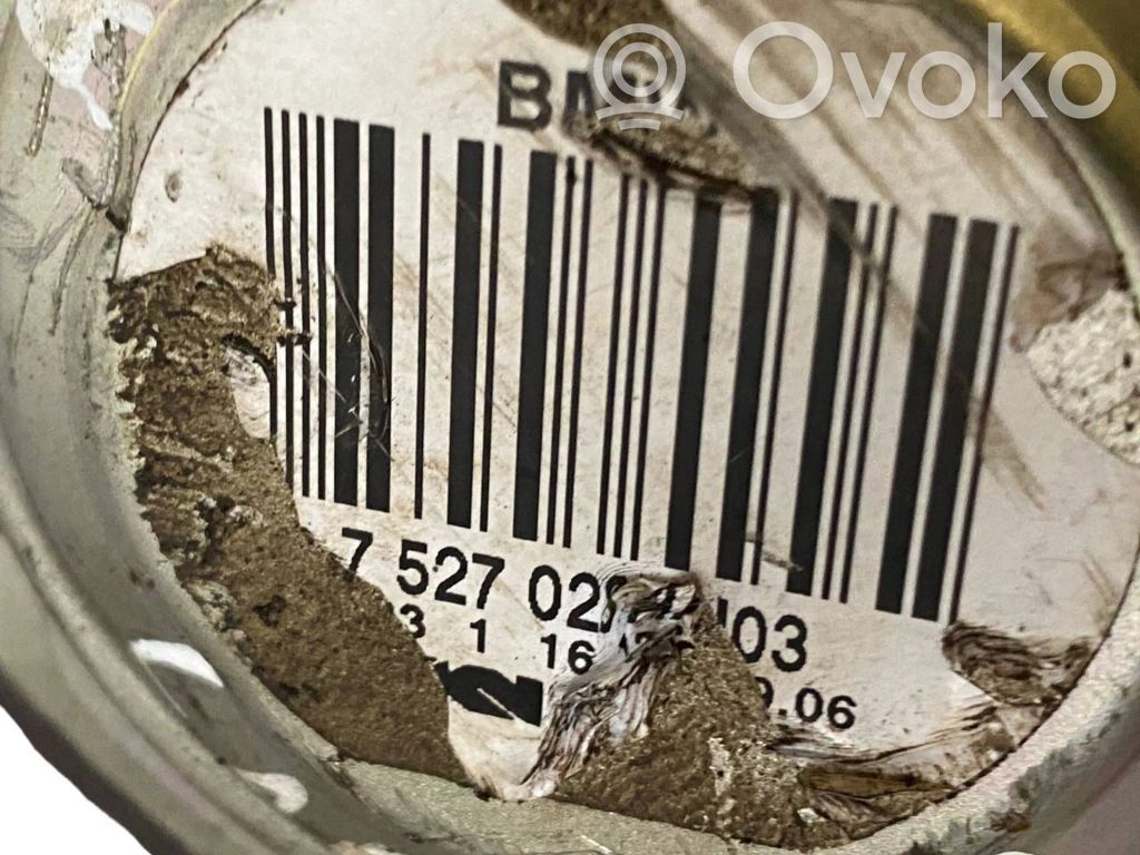 Aizmugurējā pusass