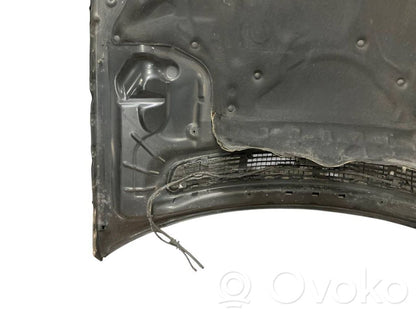 Dzinēja pārsegs (vāks)