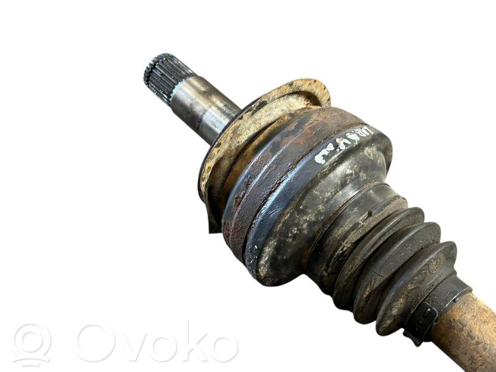 Aizmugurējā pusass