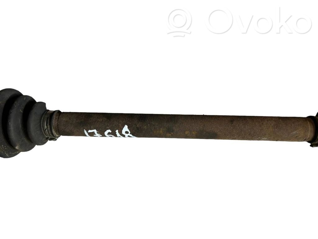 Aizmugurējā pusass