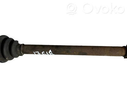 Aizmugurējā pusass