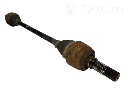 Aizmugurējā pusass