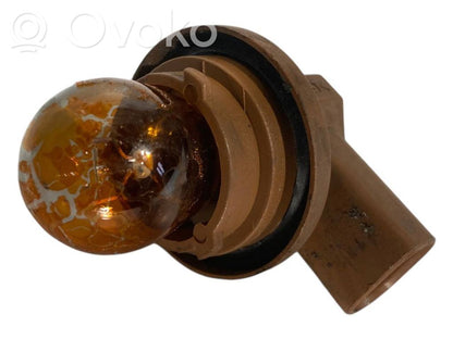 Headlight detail