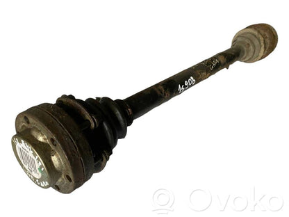 Aizmugurējā pusass