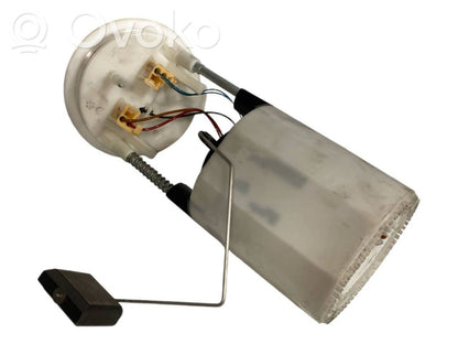 Fuel pump (in the fuel tank)