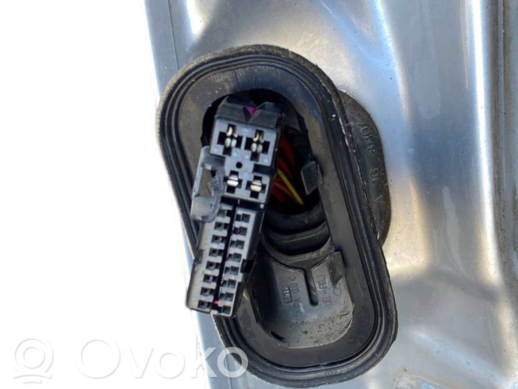 Aizmugurējās durvis