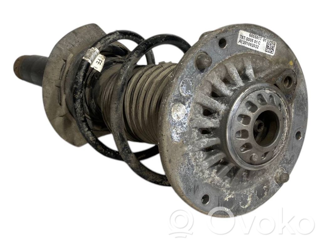 Front shock absorber with spring