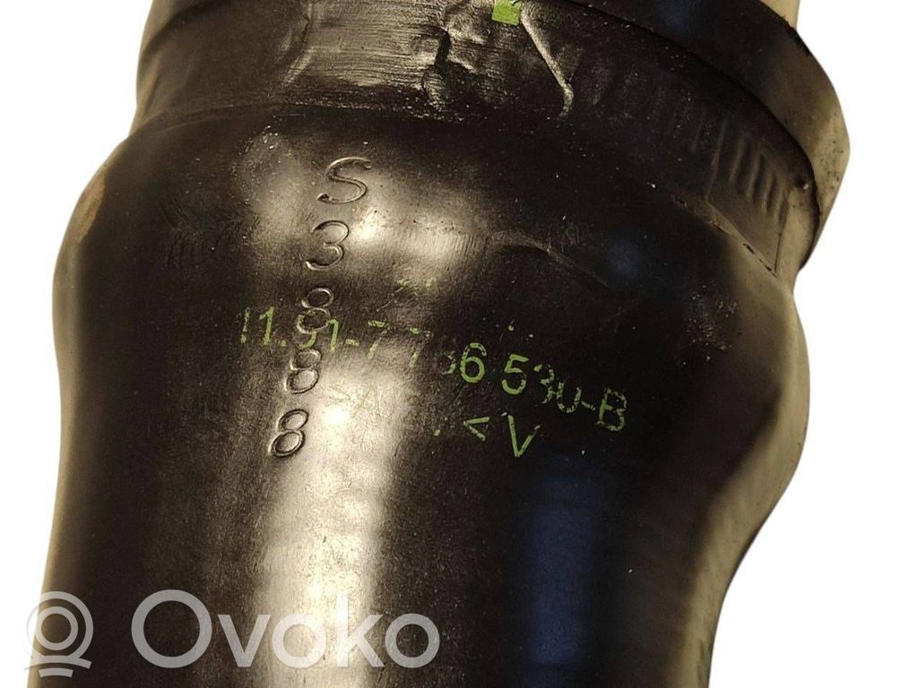 Interkūlera šļūtene (-es) / caurule (-es)