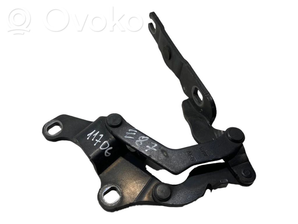 Engine hood hinge(s)