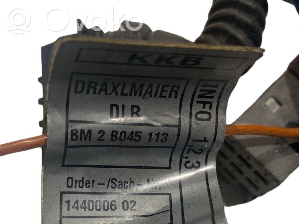 Fuel injector wires