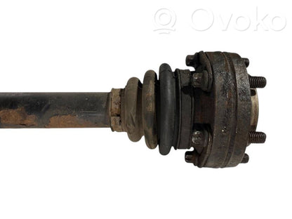 Aizmugurējā pusass