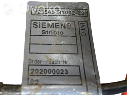 Plusa vads (akumulatora)