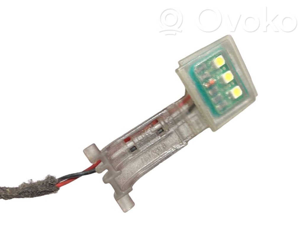 Priekšējo durvju roktura apgaismojums (ārpusē)