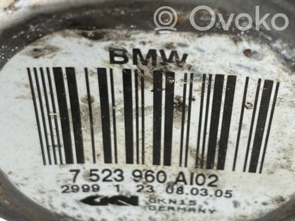 Aizmugurējā pusass