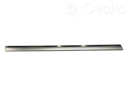Rear door decorative trim (moulding)