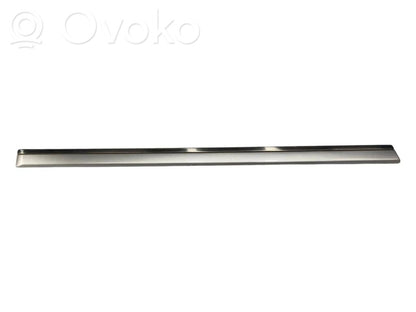 Aizmugurē durvju dekoratīvā apdare (moldings)