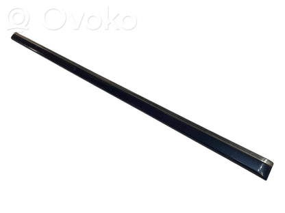 Priekšpusē durvju dekoratīvā apdare (moldings)