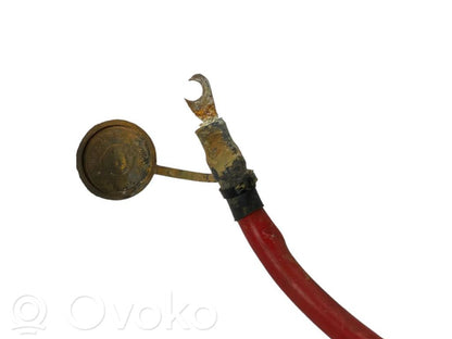 Plusa vads (akumulatora)