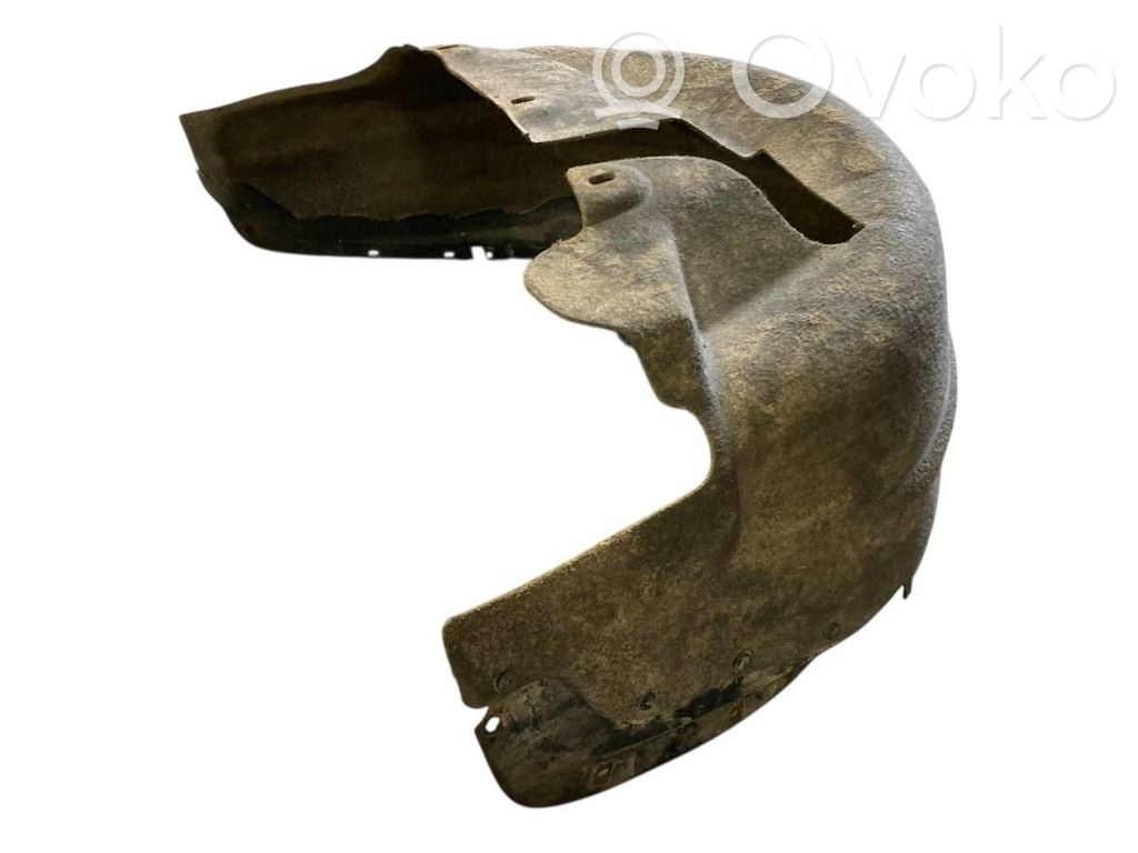 Aizmugurējais apakšspārns