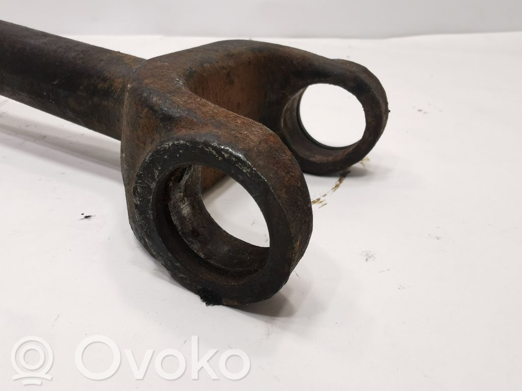 Aizmugurējā pusass