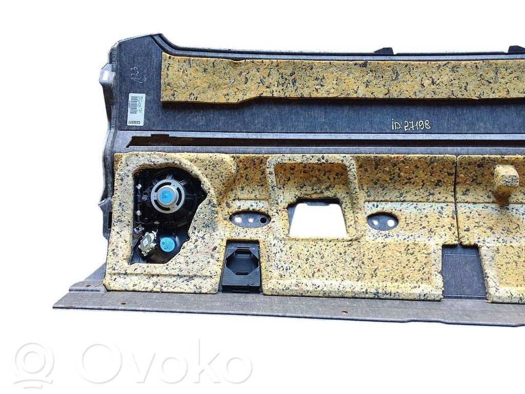 Aizmugurējā palodze