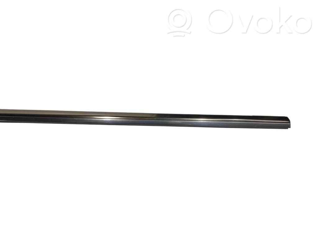 Aizmugurē durvju dekoratīvā apdare (moldings)